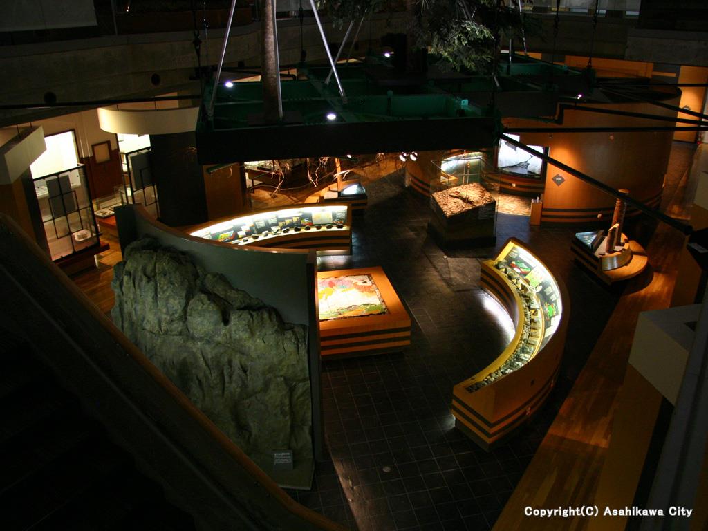 旭川市内の美術館や博物館を巡る来館者の様子。文化の日に無料開館された各施設の外観と秋の街並み。