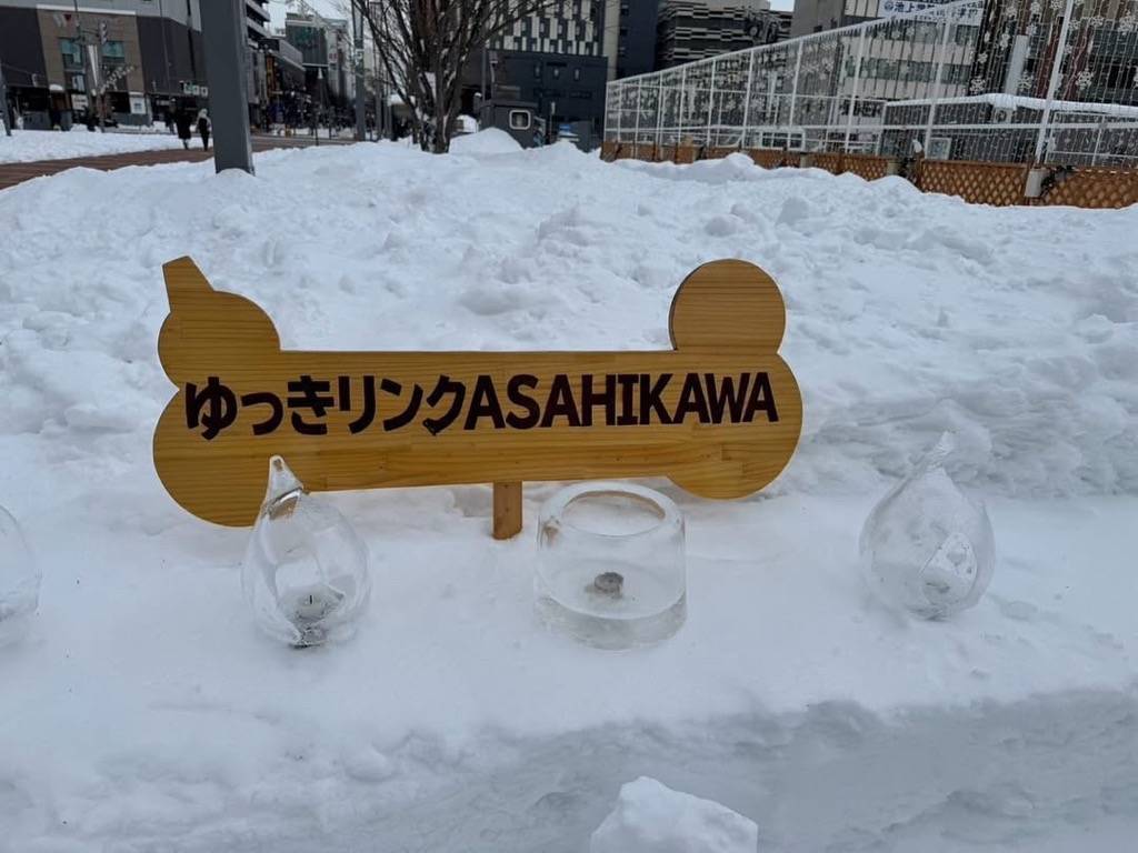 JR旭川駅すぐ前に設置されたスケートリンク「ゆっきリンクASAHIKAWA」