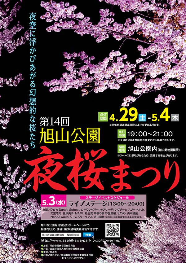 旭川市旭山公園のエゾヤマザクラ夜桜ライトアップ