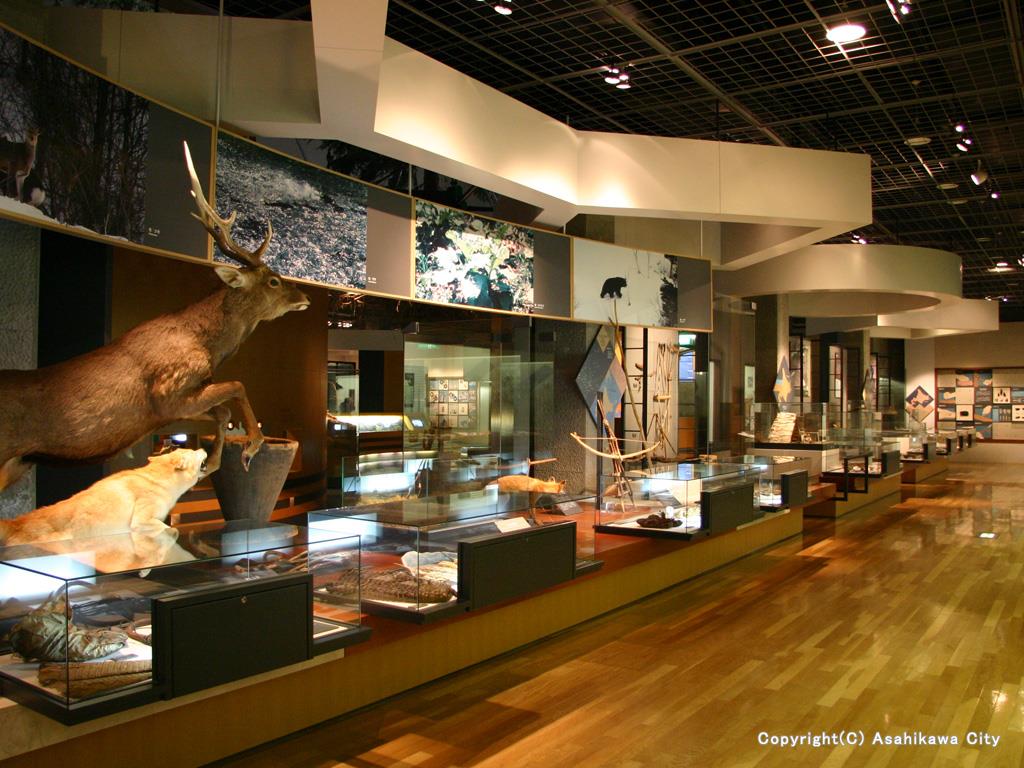 2026年11月3日に旭川市博物館で開かれるアイヌ文化に親しむ日の日程とプログラムをまとめた9Cホテル旭川の告知画像